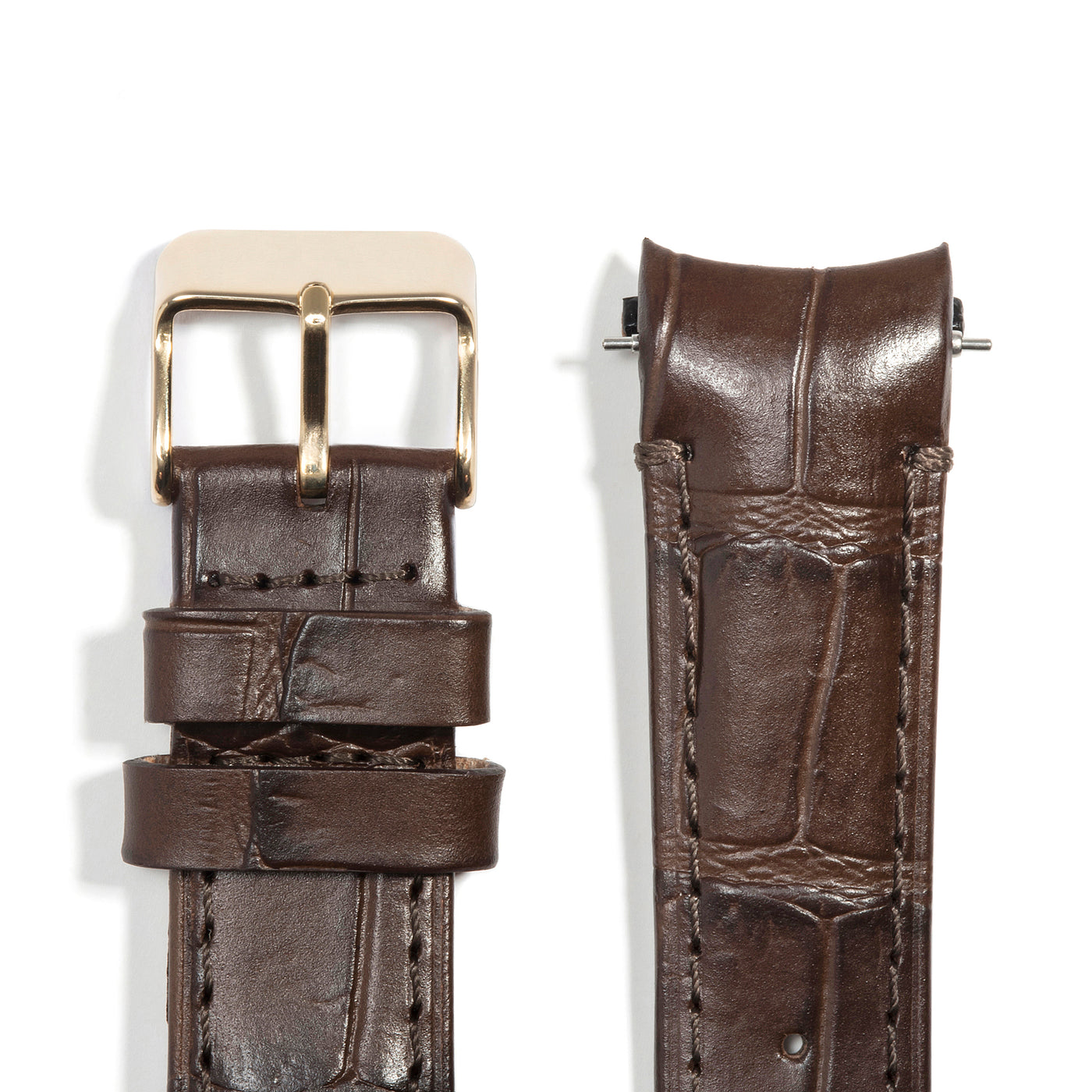 Brown Alligator / Gold Buckle